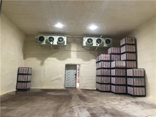乐鱼网页版登录入口-乐鱼(中国)
苹果冷库安装案例